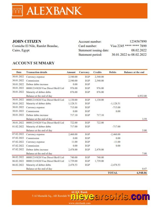 Egypt Alex bank statement xls